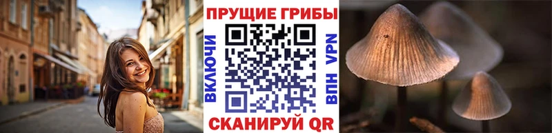 маркетплейс состав  Переславль-Залесский  Галлюциногенные грибы ЛСД 