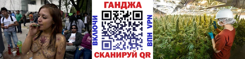 Конопля индика  Переславль-Залесский 